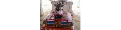 நல்லூர்